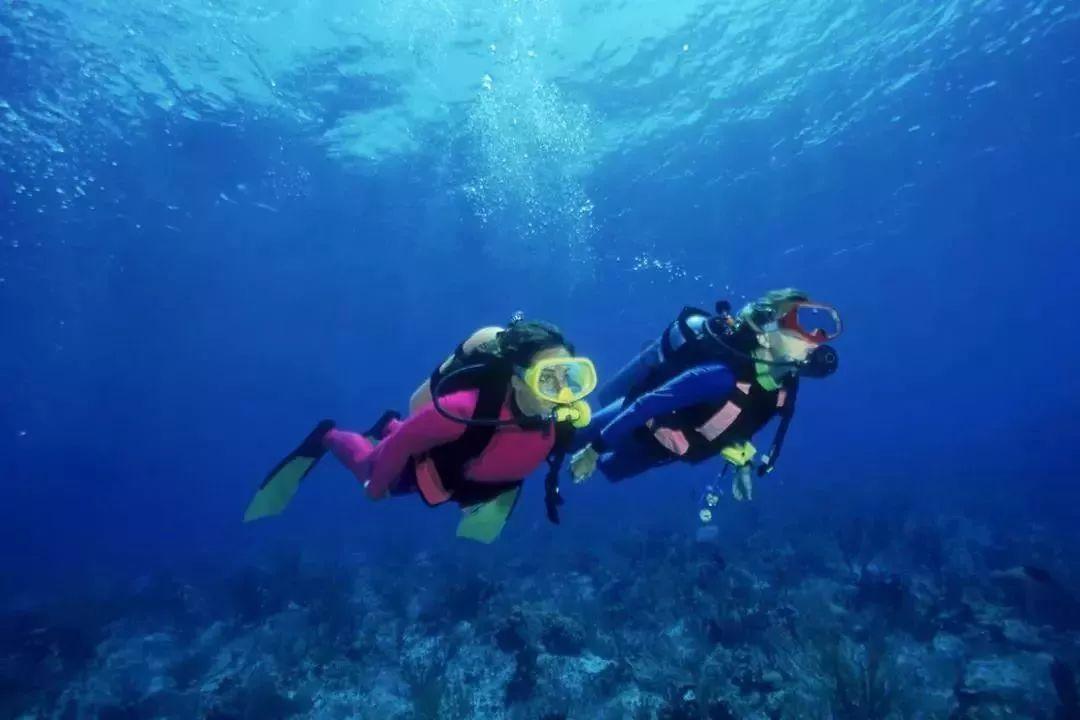 茶叶过期了还能喝吗？专家告诉你真相，99%的人都弄错了