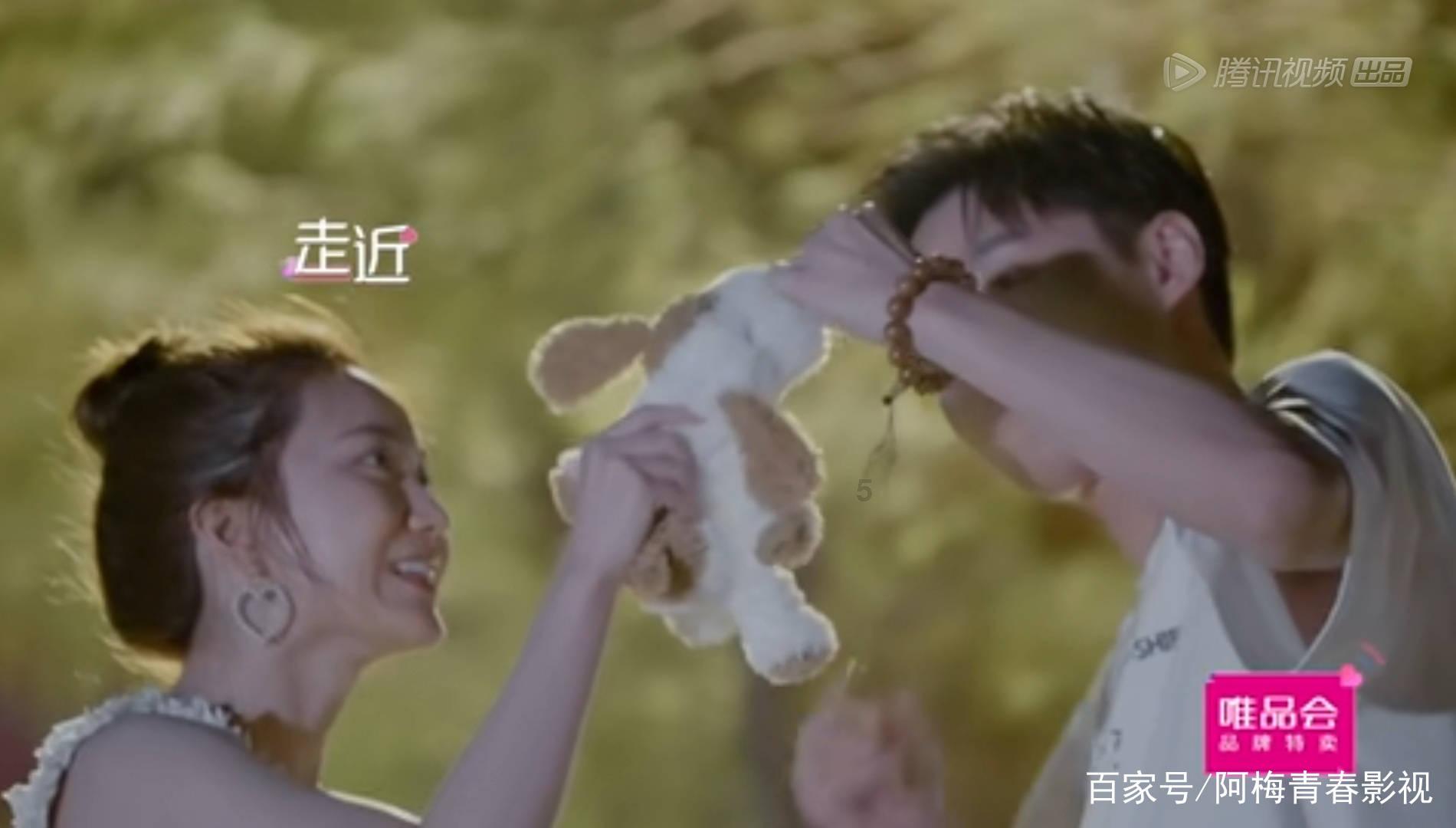 射击红色鸟